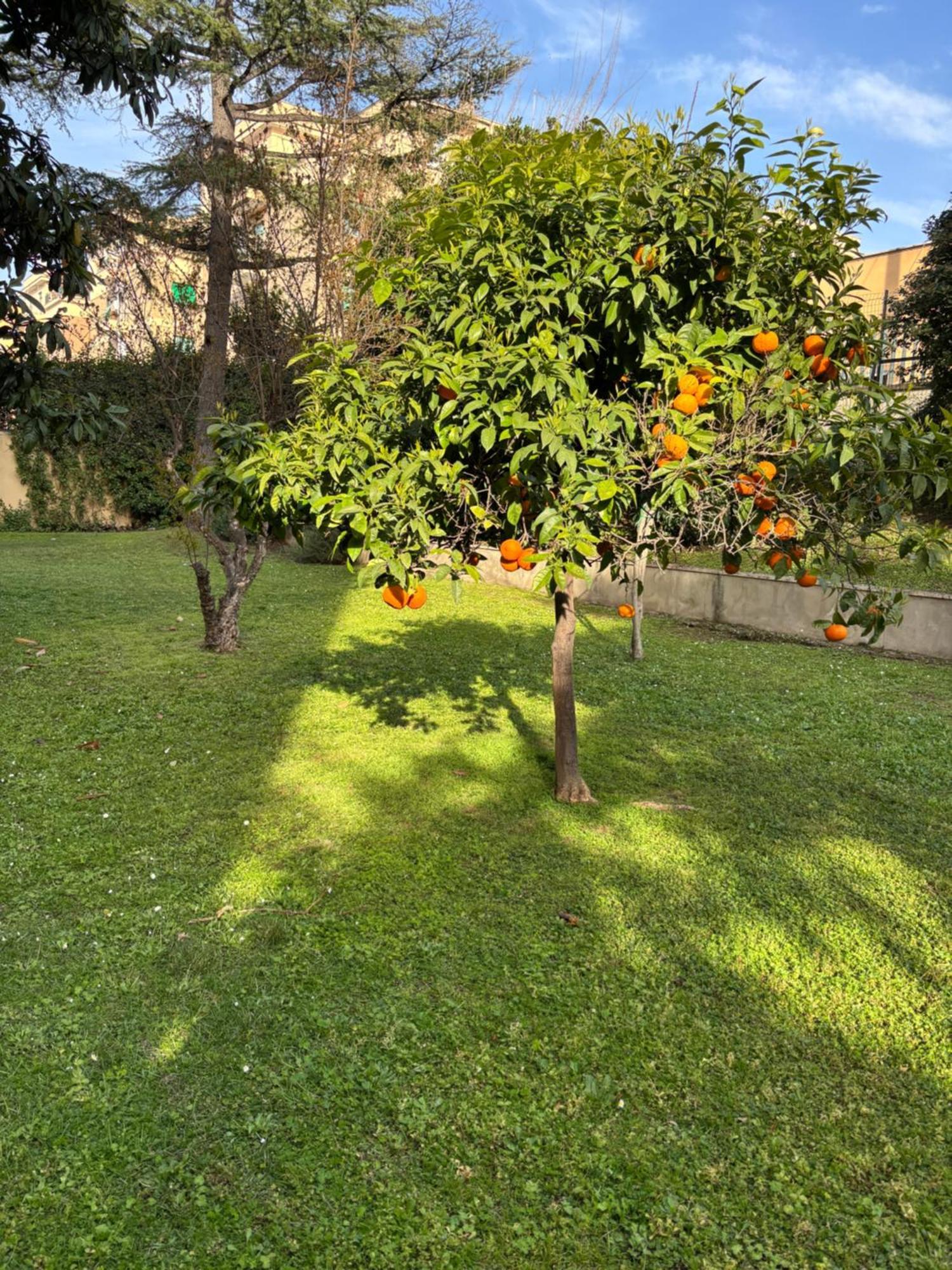 Grelly'S House - Holiday In Rome - 50 Meters From The Metro Экстерьер фото